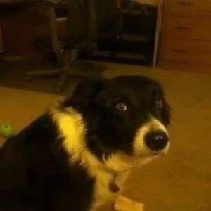 Meet your Posher, Will